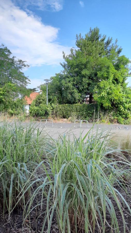 La Parée d Eau appt 104 - Résidence avec piscine Notre-Dame-de-Monts Extérieur photo